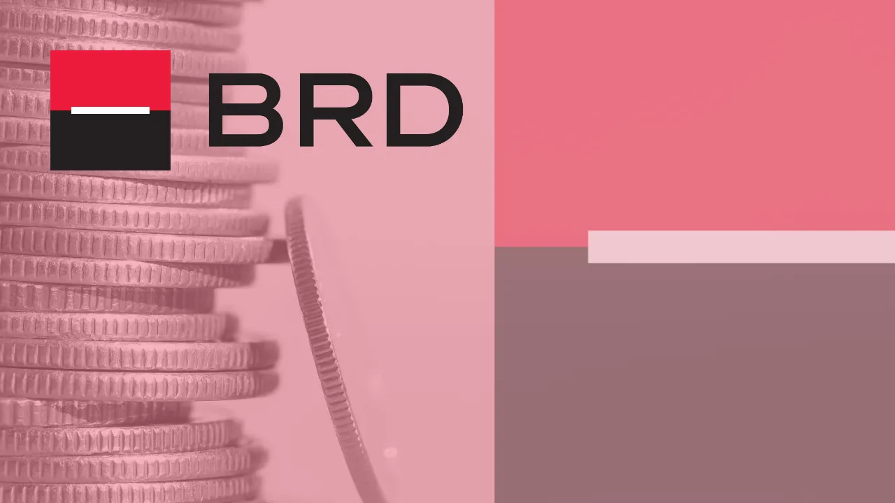 BRD Loans: Financing Solutions for Your Needs